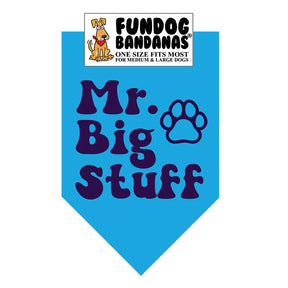 FunDog Bandanas - Dog Bandana Mr. Big Stuff