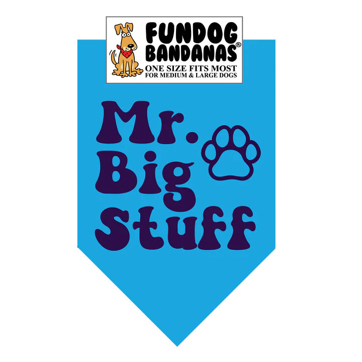 FunDog Bandanas - Dog Bandana Mr. Big Stuff