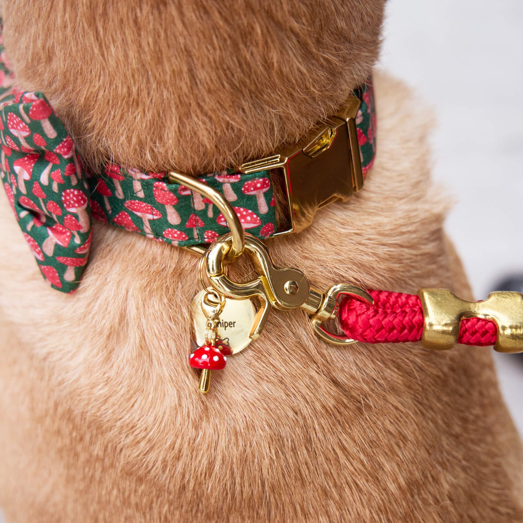 The Foggy Dog - Collar Charm Toadstool