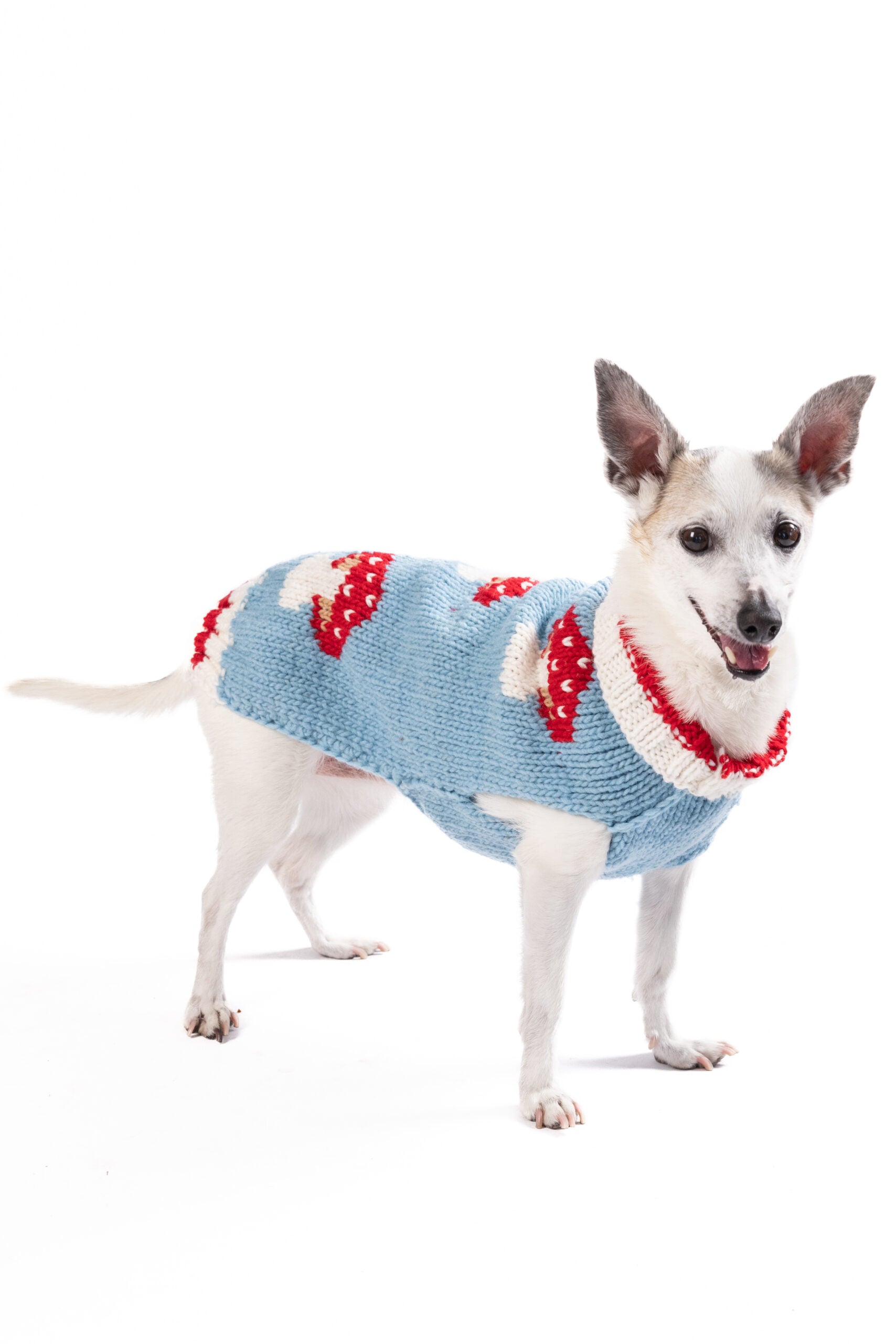 Chilly Dog - Dog Sweater Mushroom