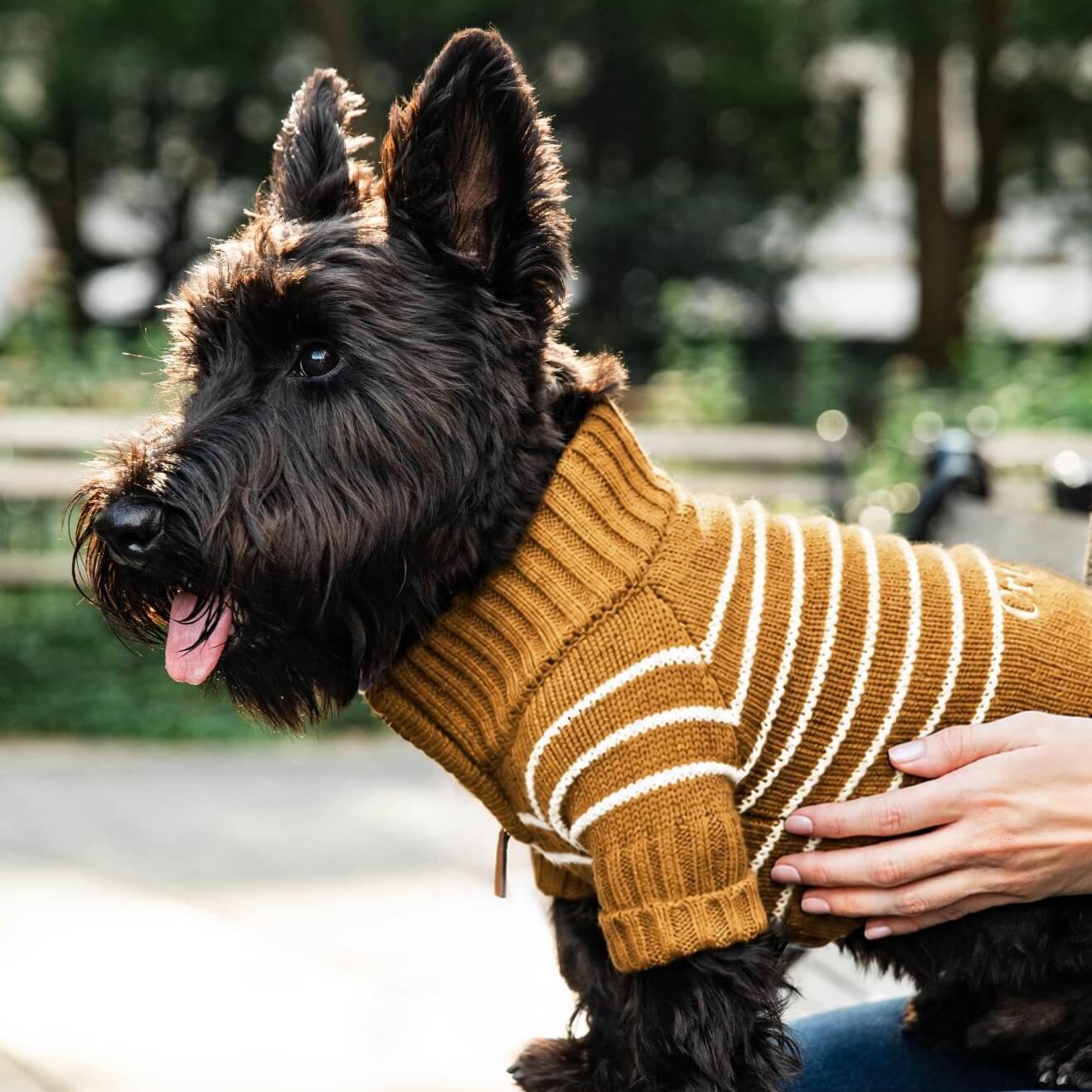 The Foggy Dog - Dog Sweater Mustard Stripe