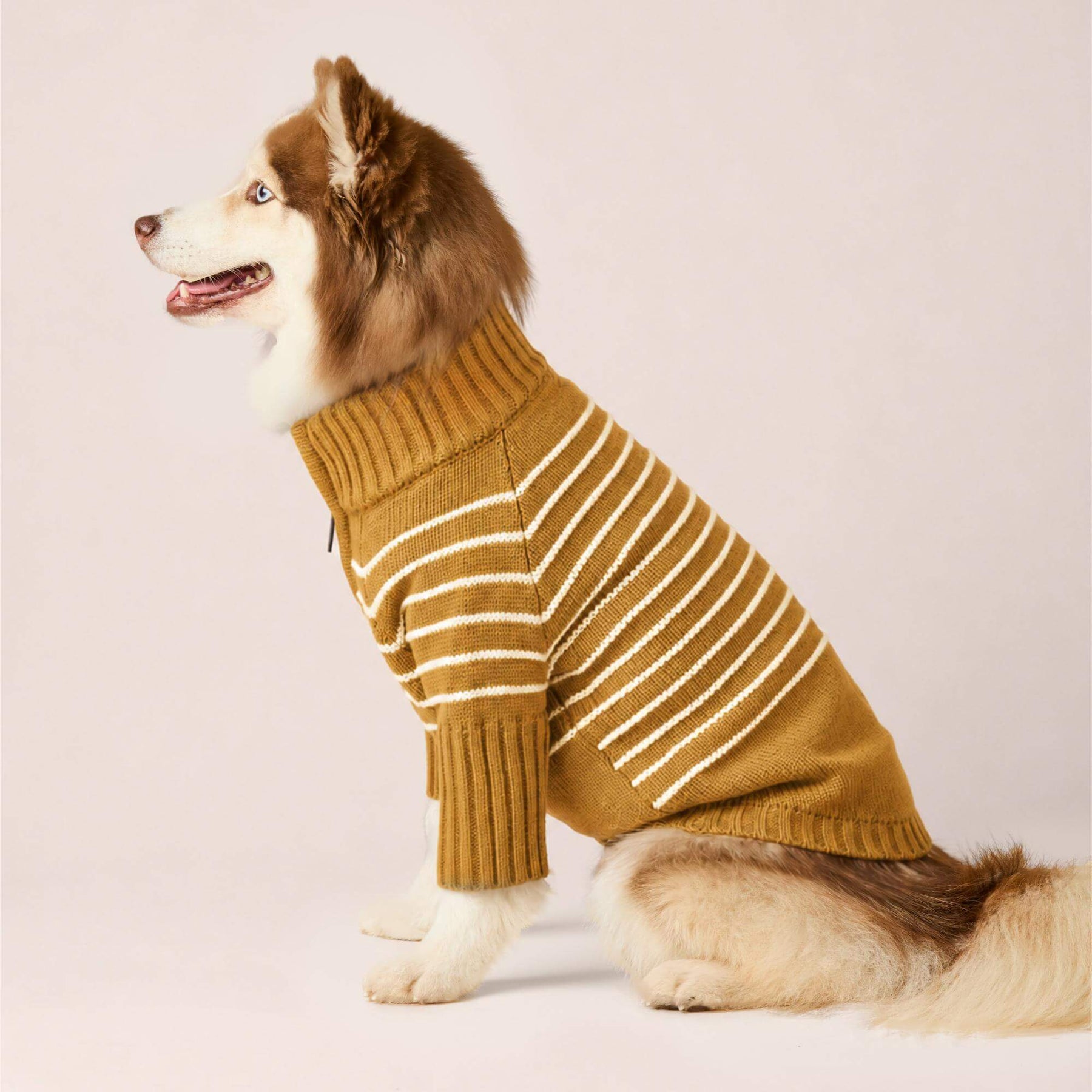 The Foggy Dog - Dog Sweater Mustard Stripe