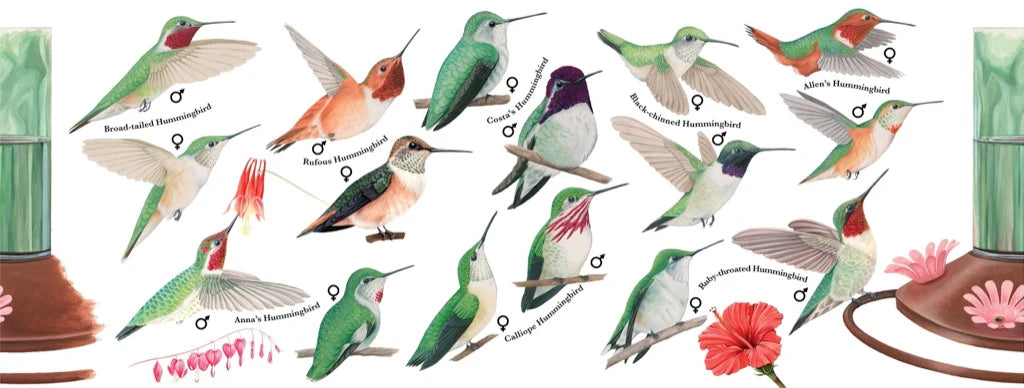 New York Puzzle Co. - Hummingbird Mug