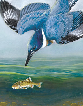 New York Puzzle Company - Puzzle Belted Kingfisher
