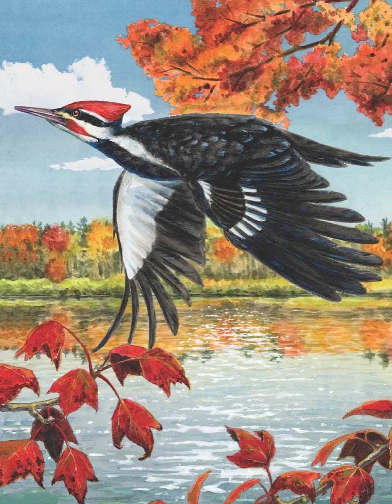 New York Puzzle Co. - Pileated Woodpecker