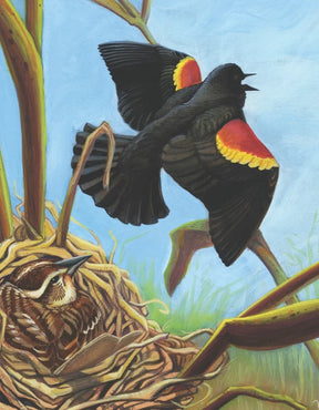 New York Puzzle Company - Puzzle Red Winged Blackbird