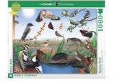 New York Puzzle Co. - Spring Trail