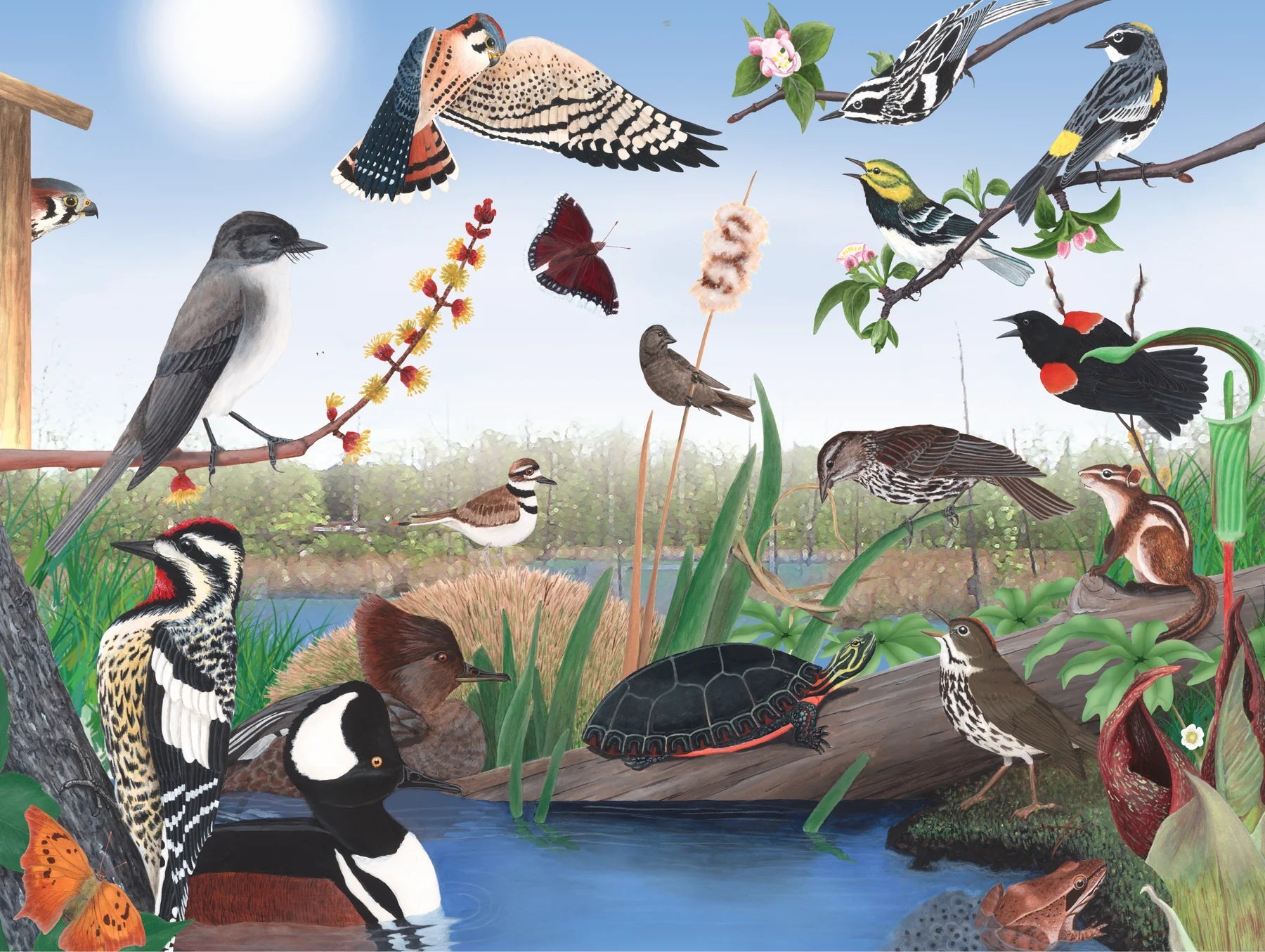 New York Puzzle Co. - Spring Trail