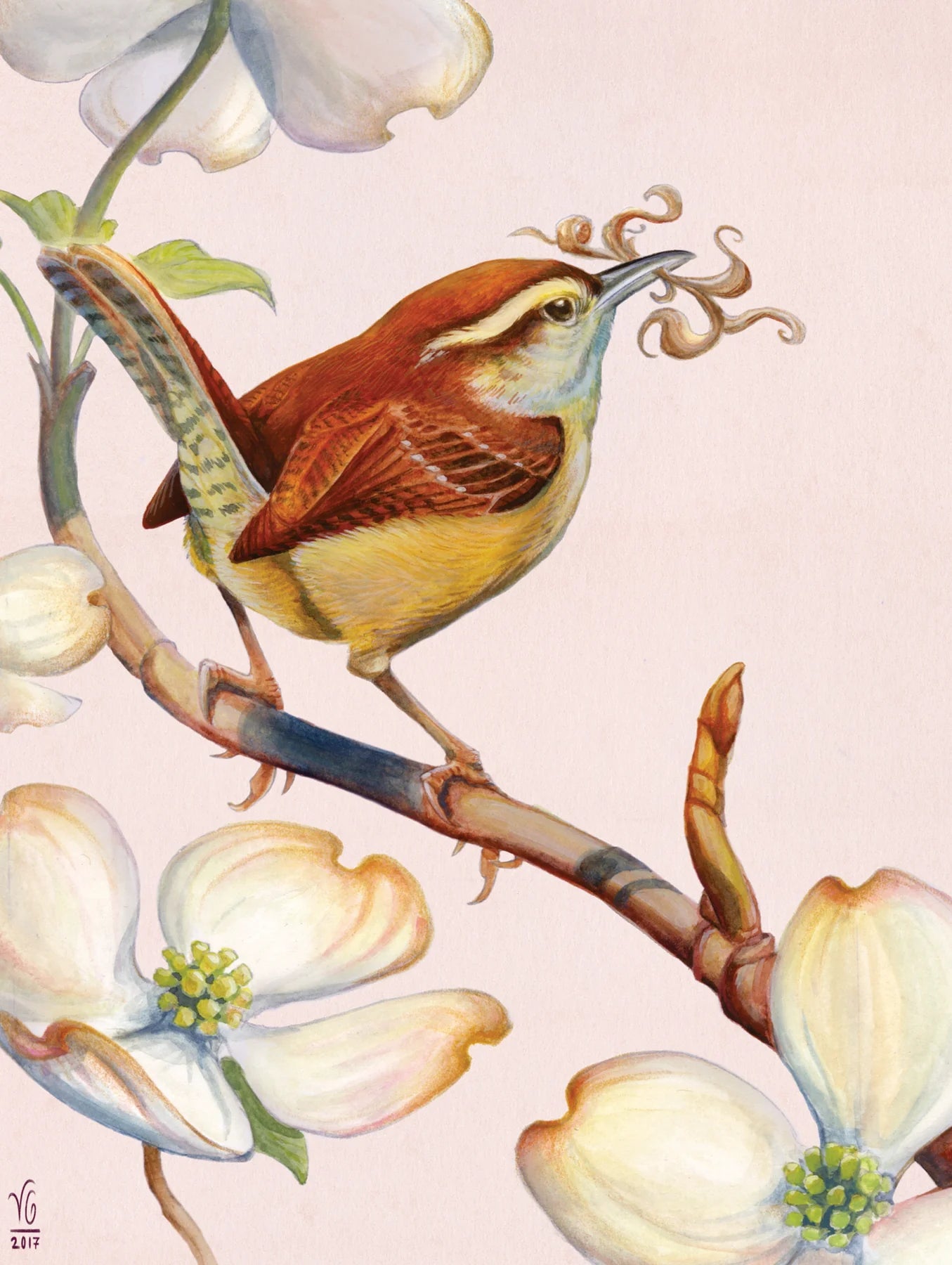 New York Puzzle Company - Puzzle Carolina Wren