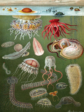 New York Puzzle Company - Puzzle Under The Sea