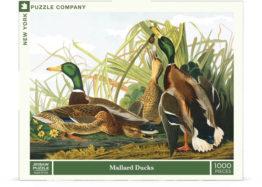 New York Puzzle Co. - Mallard Ducks