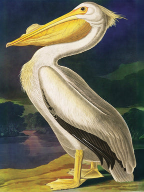 New York Puzzle Company - Puzzle Majestic Pelican