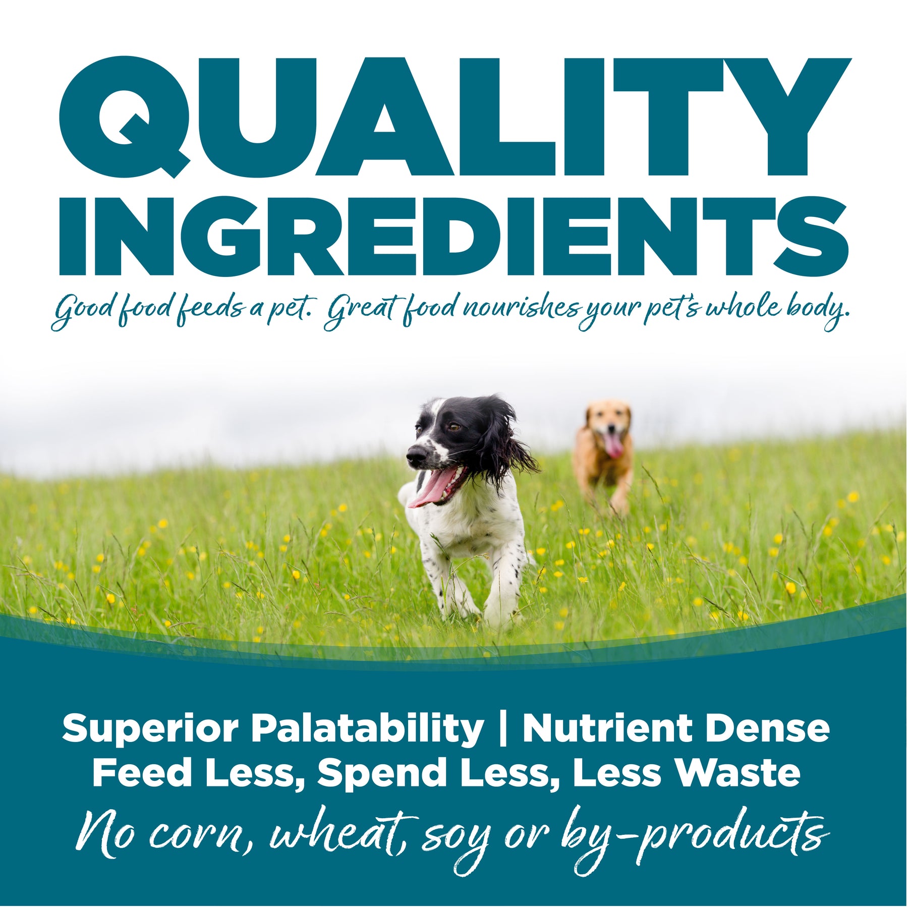 NutriSource - All Breeds, Adult Dog Chicken & Rice Recipe Dry Dog Food - Southern Agriculture 