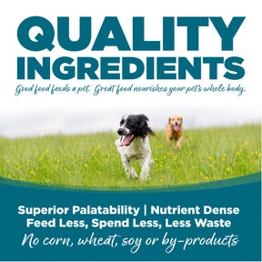 NutriSource - All Breeds, Adult Dog Chicken & Rice Recipe Dry Dog Food - Southern Agriculture 
