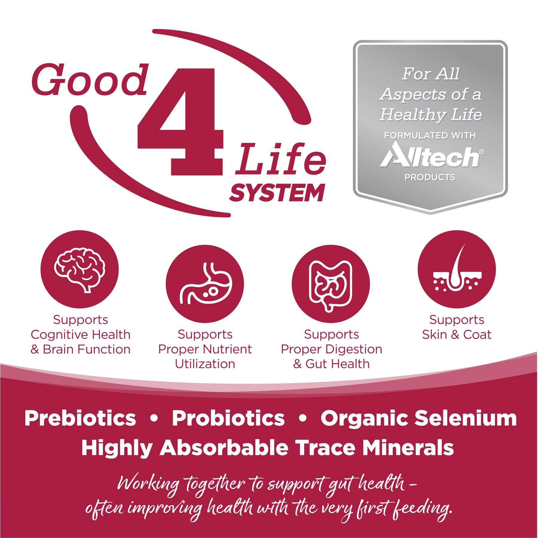 NutriSource - Chicken, Lamb & Ocean Fish All	Life Stages Dog Can