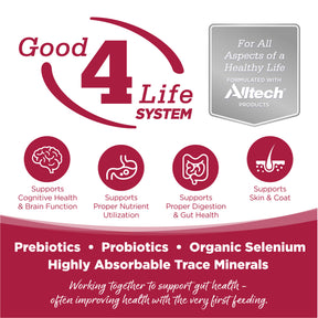 NutriSource - Chicken, Lamb & Ocean Fish All	Life Stages Dog Can