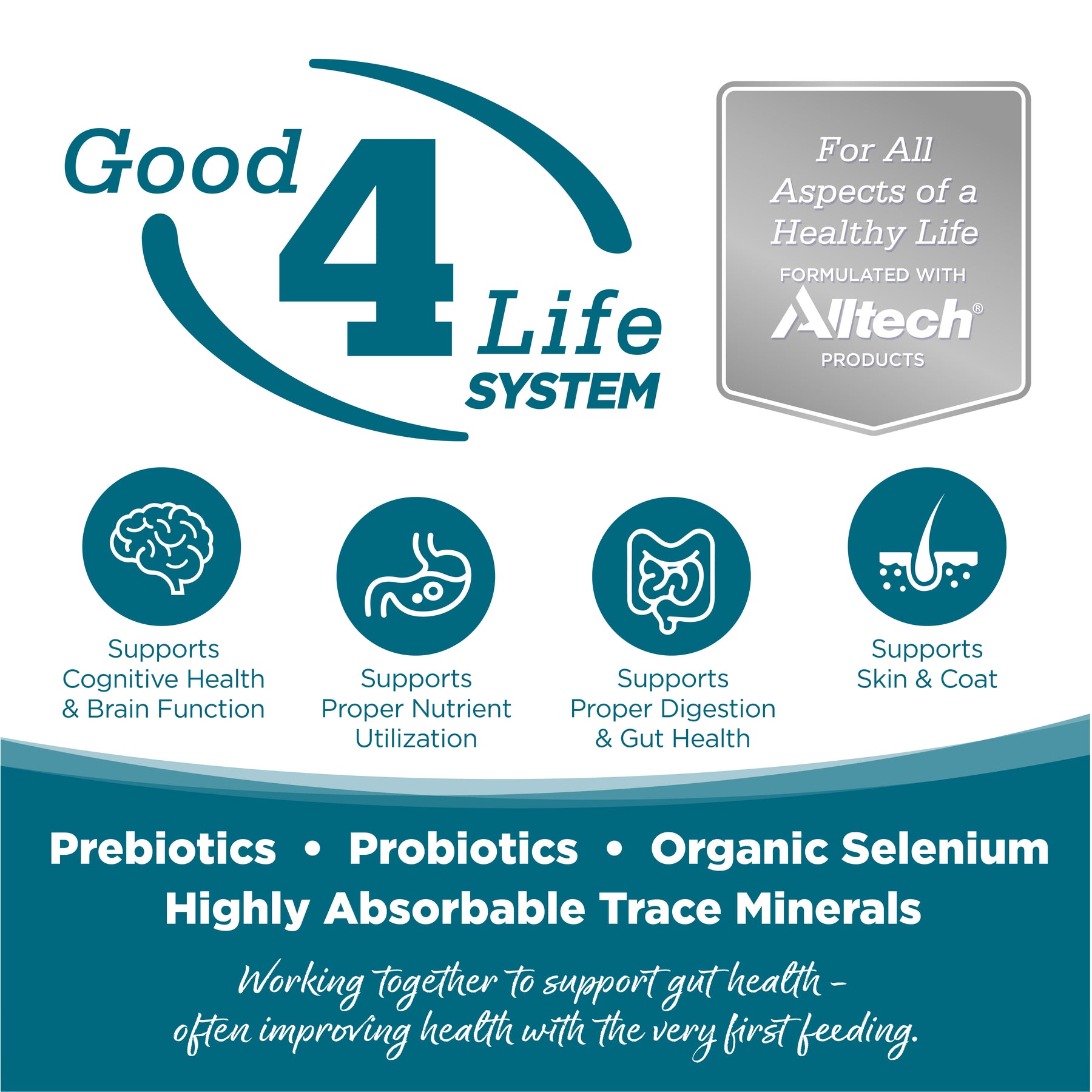 NutriSource - Chicken & Rice All Life Stages Dog Food Can