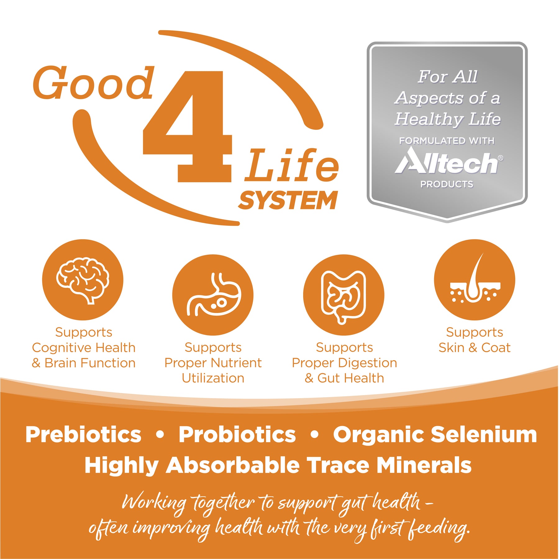 NutriSource - Lamb & Rice All Life Stages Dog Food Can