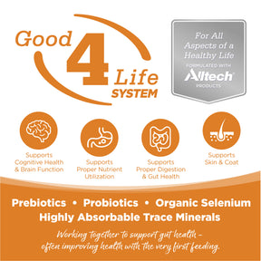 NutriSource - Lamb & Rice All Life Stages Dog Food Can