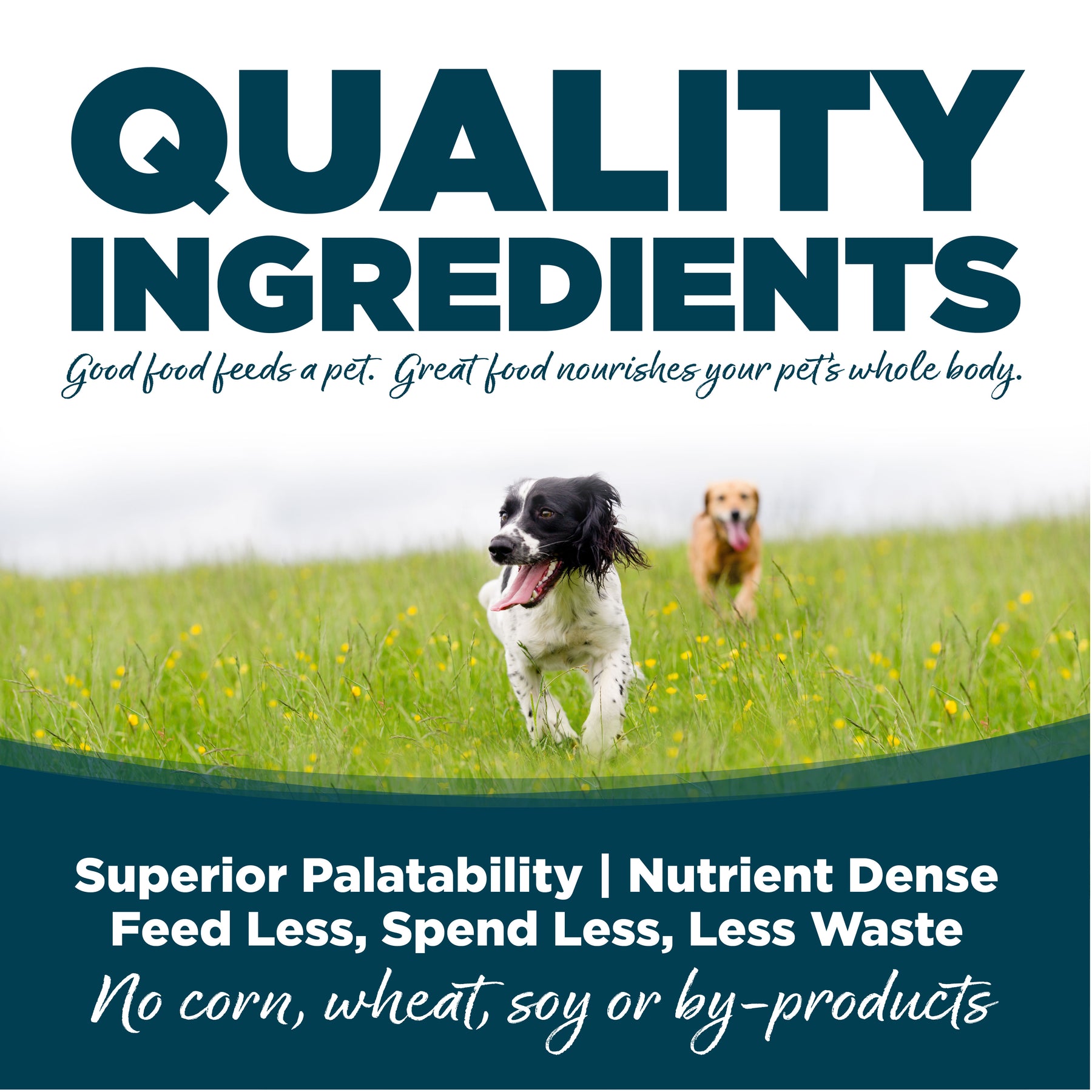 NutriSource - All Breeds, Adult Dog Chicken & Rice Small Bites Recipe - Southern Agriculture 
