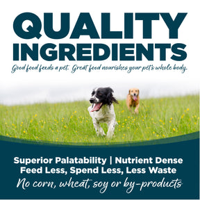 NutriSource - All Breeds, Adult Dog Chicken & Rice Small Bites Recipe - Southern Agriculture 