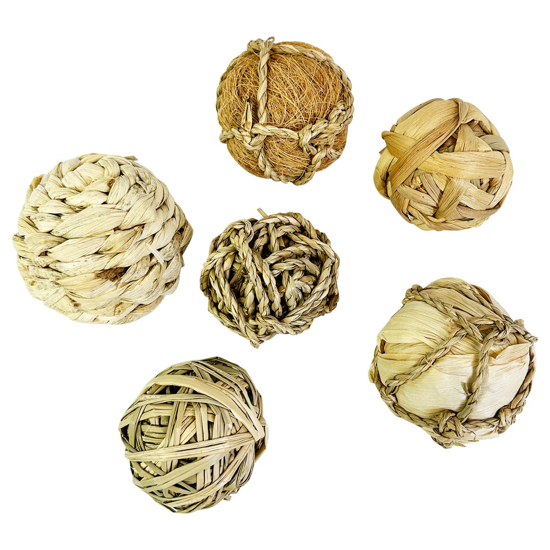 Exotic Nutrition - Natural Fun Balls w/ Rattan, Seagrass & Water Hyacinth (6 pack) - Southern Agriculture 