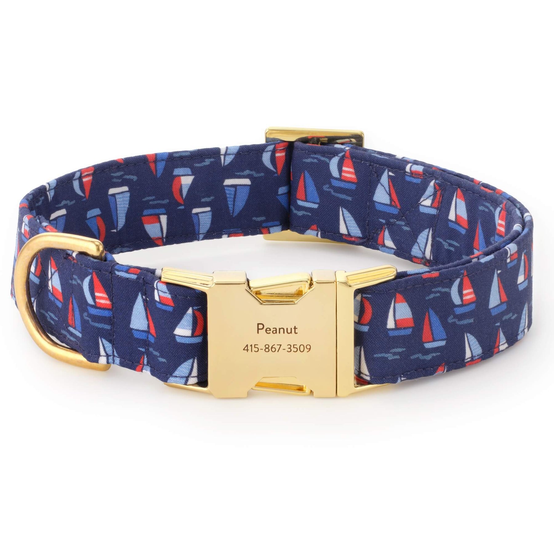 The Foggy Dog - Dog Collar Regatta