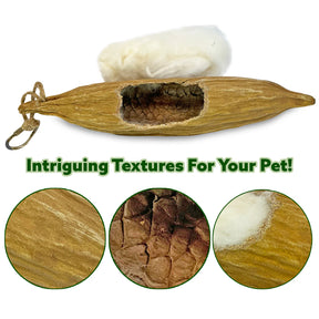 Exotic Nutrition - Nesting Material Pods from Ceiba Tree