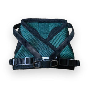 Travel Cat - Harness & Leash Set-"The Emerald Explorer"
