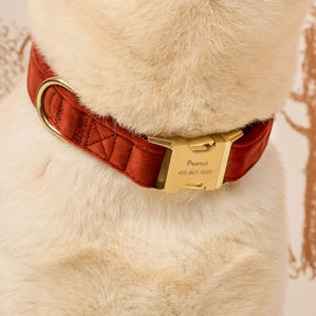 The Foggy Dog - Dog Collar Nutmeg Velvet