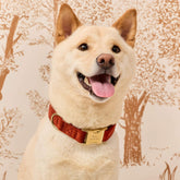 The Foggy Dog - Dog Collar Nutmeg Velvet