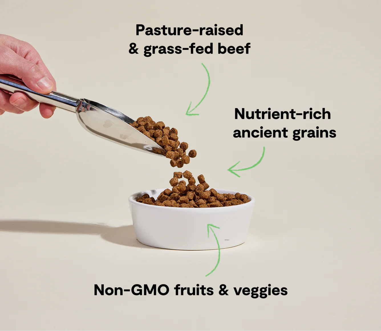 Open Farms - Grass-Fed Beef & Ancient Grains Dog Food - Southern Agriculture 