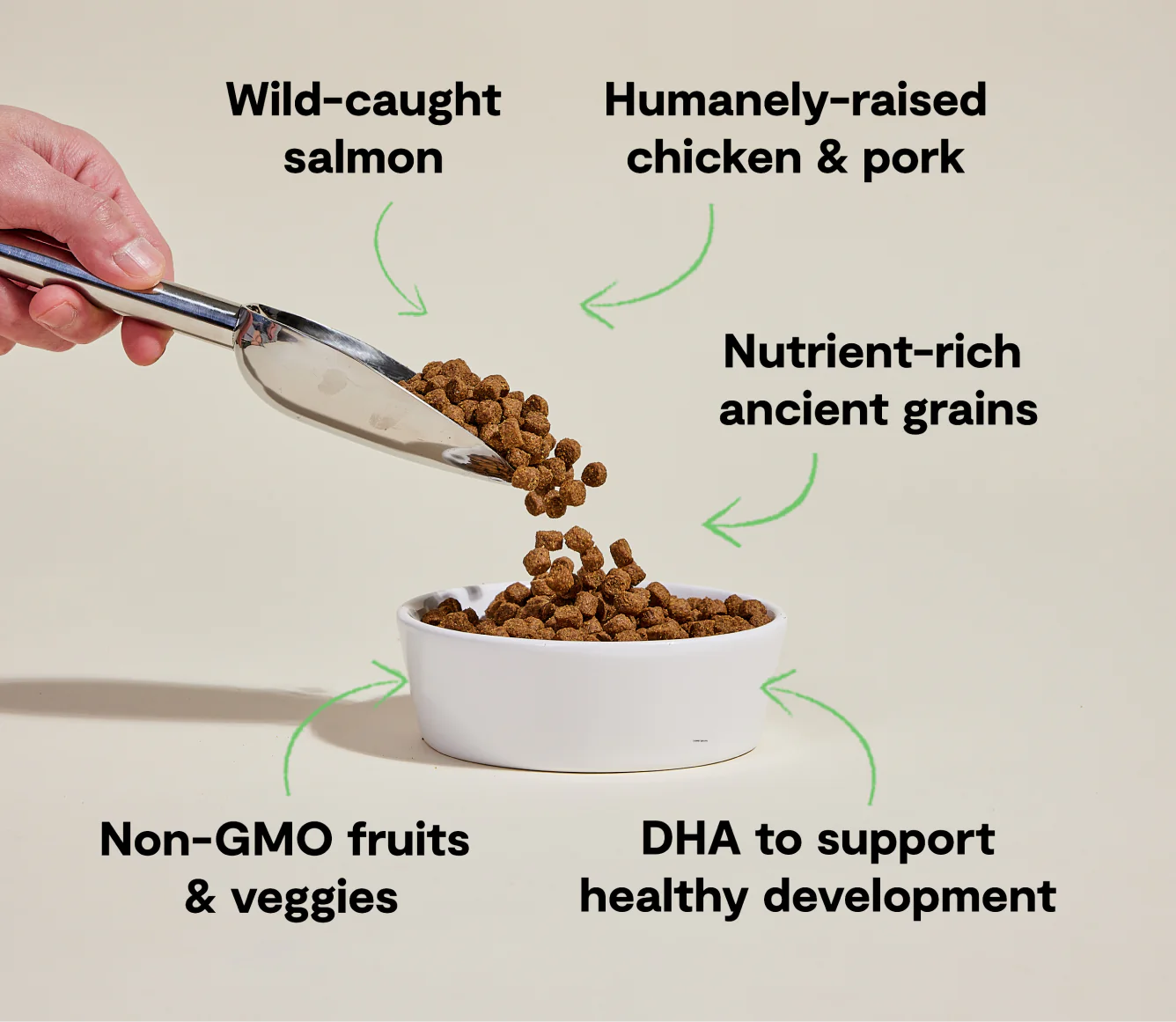 Open Farms - Puppy Chicken, Salmon, & Ancient Grains Dry Dog Food - Southern Agriculture 