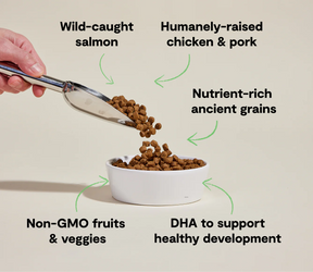 Open Farms - Puppy Chicken, Salmon, & Ancient Grains Dry Dog Food - Southern Agriculture 