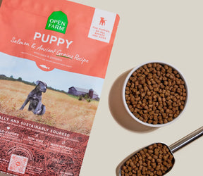 Open Farm - Puppy Salmon Ancient Grains Dry Dog Food