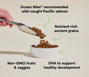 Open Farm - Puppy Salmon Ancient Grains Dry Dog Food