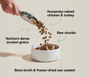 Open Farms - Raw Mix Open Prairie Ancient Grain Dry Dog Food - Southern Agriculture 