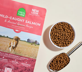 Open Farms - Wild Caught Salmon & Ancient Grains Dry Dog Food - Southern Agriculture 