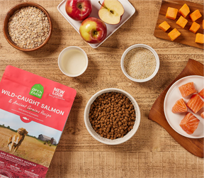 Open Farms - Wild Caught Salmon & Ancient Grains Dry Dog Food - Southern Agriculture 