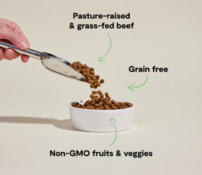 Open Farms - Grass-Fed Beef Grain Free Dog Food - Southern Agriculture 