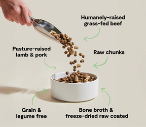 Open Farms - Raw Mix Front Range Grain Free Dry Dog Food