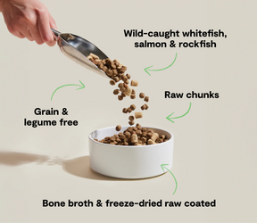 Open Farms - Raw Mix Wild Ocean Grain Free Dry Dog Food - Southern Agriculture 