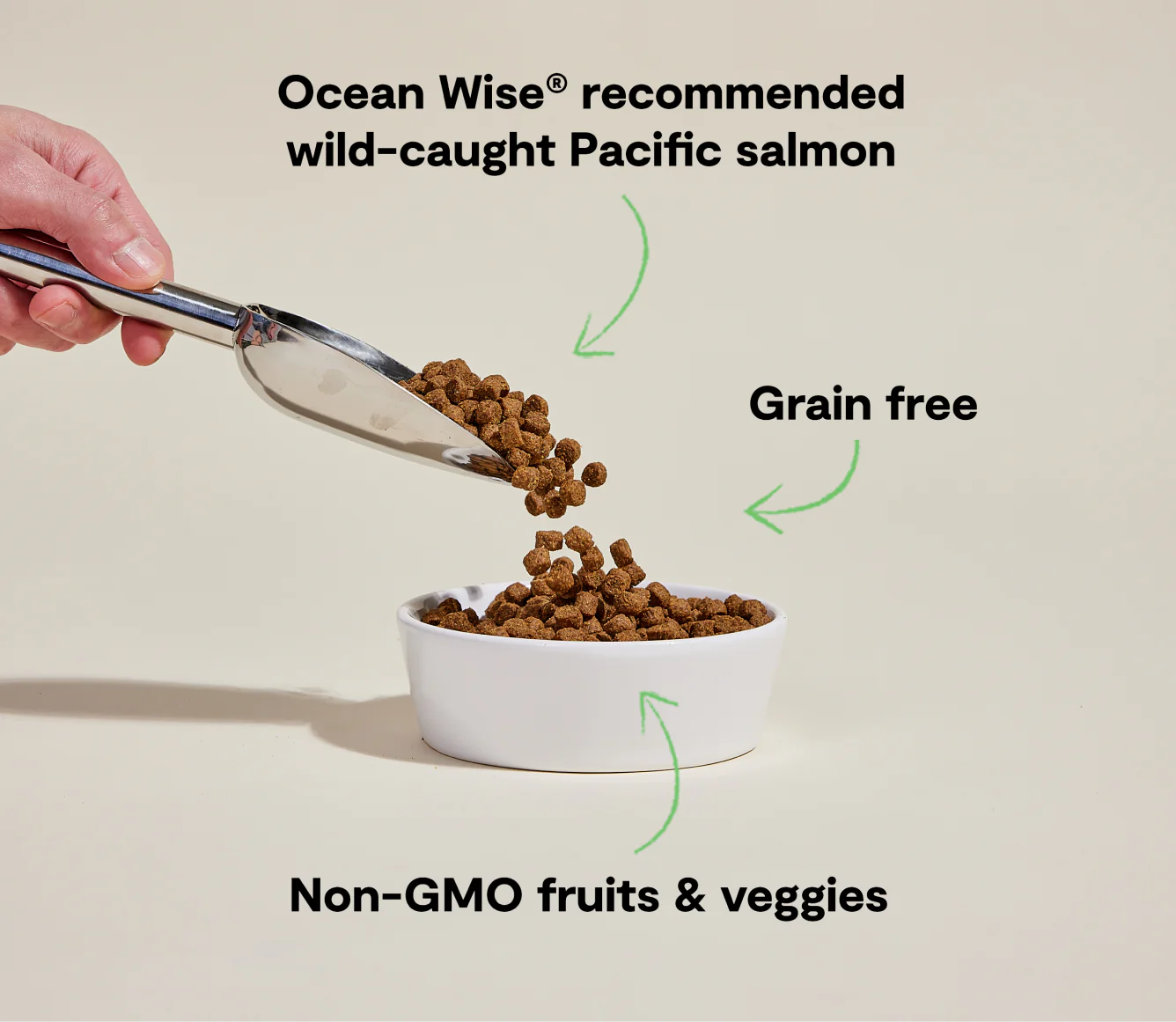 Open Farms - Wild Caught Salmon Grain Free Dog Food