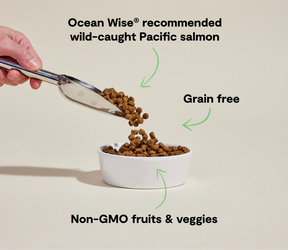 Open Farms - Wild Caught Salmon Grain Free Dog Food