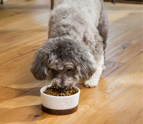 Open Farms - Grass-Fed Beef Grain Free Dog Food - Southern Agriculture 