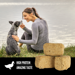 Champion Petfoods Orijen - Freeze Dried Free-Run Duck Recipe Dog Treats