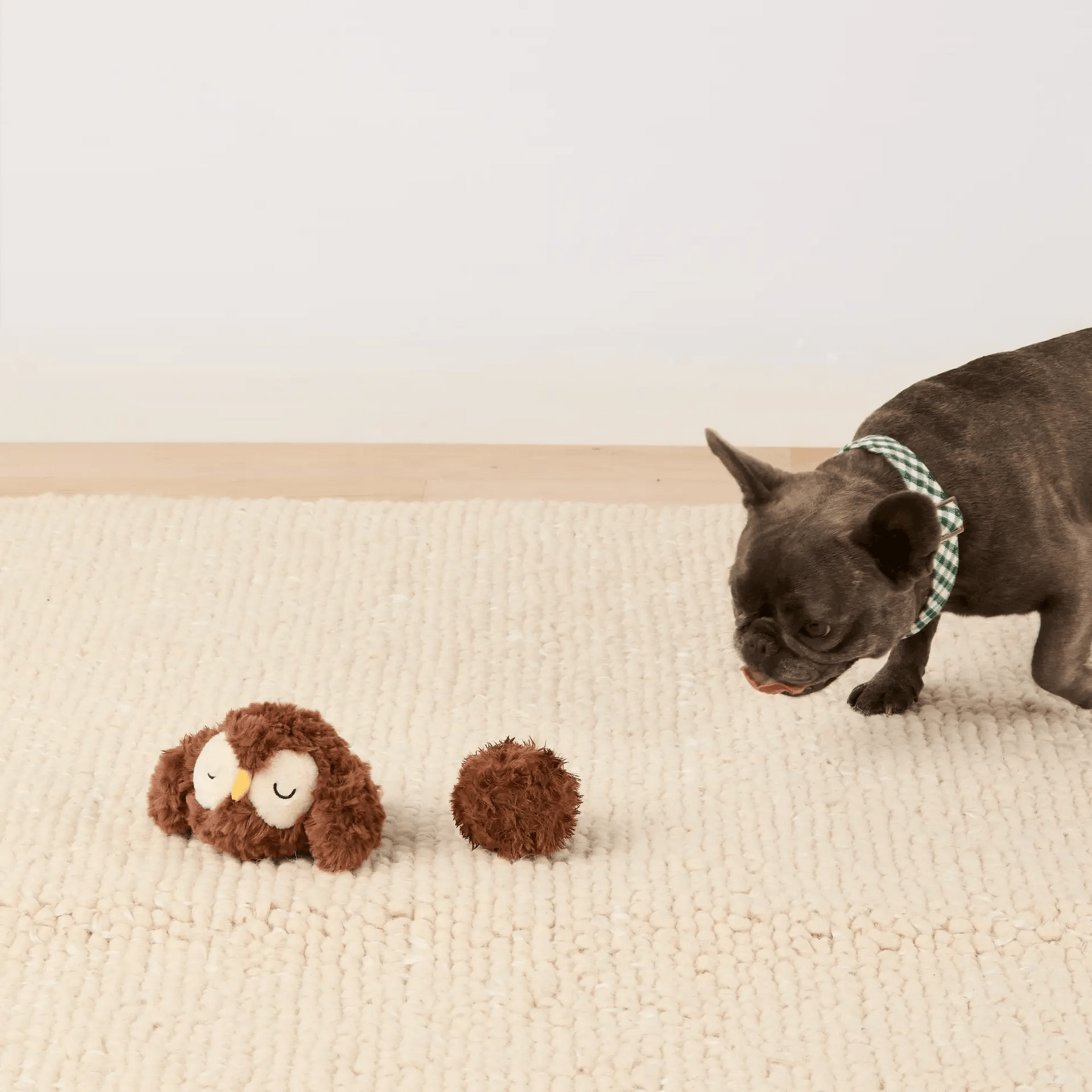 The Foggy Dog - Dog Toy Owl 2-In-1 Bounce