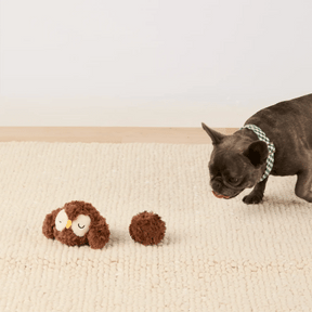 The Foggy Dog - Dog Toy Owl 2-In-1 Bounce