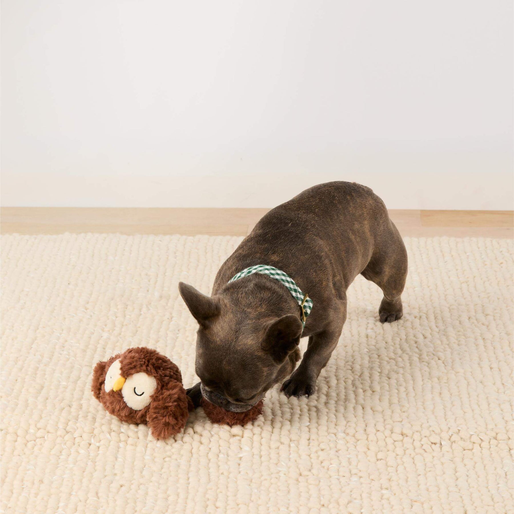 The Foggy Dog - Dog Toy Owl 2-In-1 Bounce