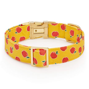 The Foggy Dog - Dog Collar Olipop x TFD Crisp Apple